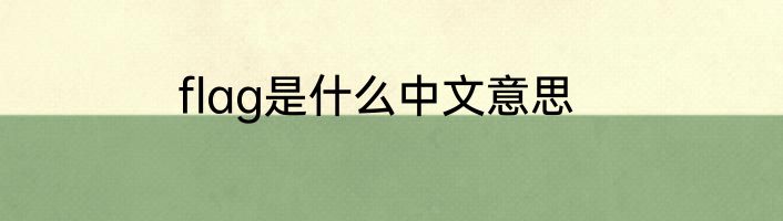 flag是什么中文意思