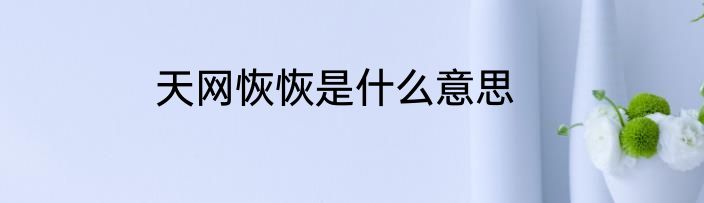 天网恢恢是什么意思