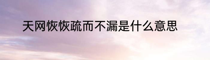 天网恢恢疏而不漏是什么意思