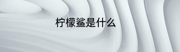 柠檬鲨是什么