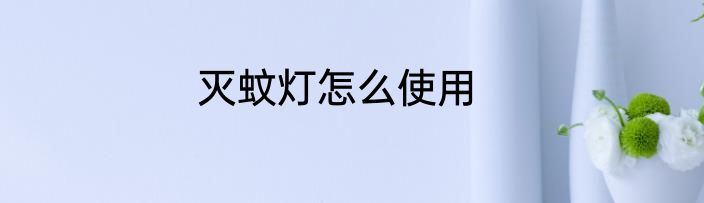 灭蚊灯怎么使用