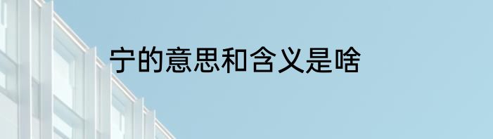 宁的意思和含义是啥