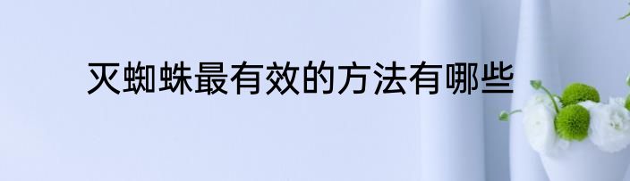 灭蜘蛛最有效的方法有哪些