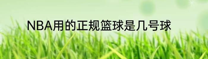 NBA用的正规篮球是几号球