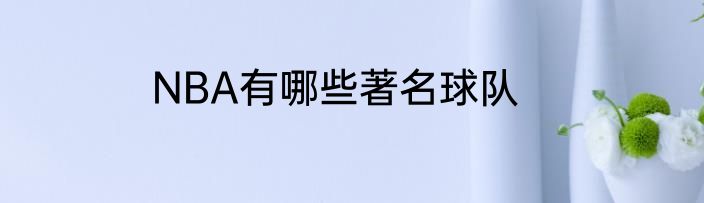 NBA有哪些著名球队