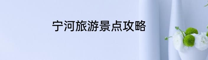 宁河旅游景点攻略