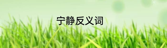 宁静反义词