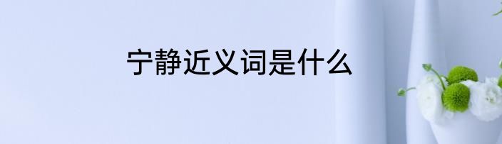 宁静近义词是什么