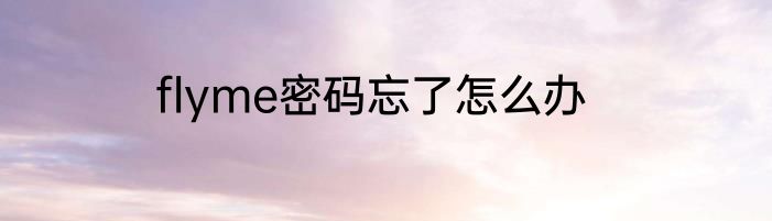 flyme密码忘了怎么办