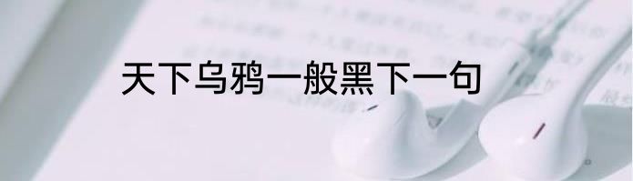 天下乌鸦一般黑下一句