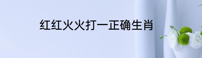 红红火火打一正确生肖