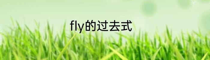 fly的过去式