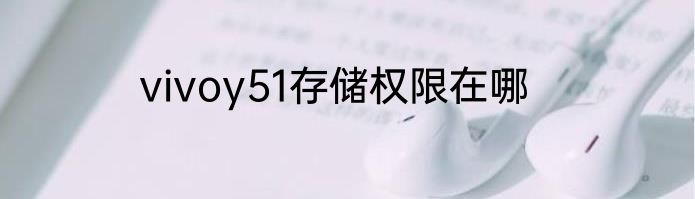 vivoy51存储权限在哪