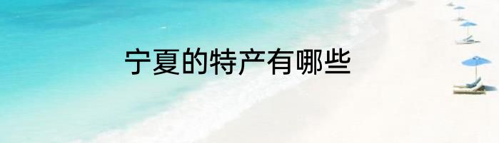宁夏的特产有哪些