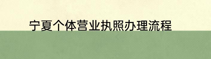 宁夏个体营业执照办理流程