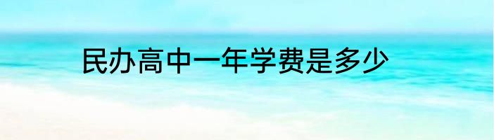 民办高中一年学费是多少