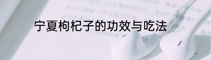 宁夏枸杞子的功效与吃法