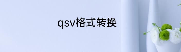 qsv格式转换