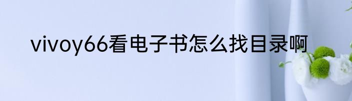 vivoy66看电子书怎么找目录啊