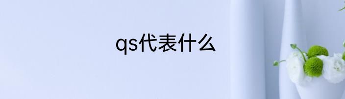 qs代表什么