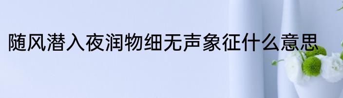 随风潜入夜润物细无声象征什么意思