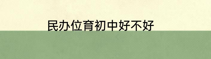 民办位育初中好不好
