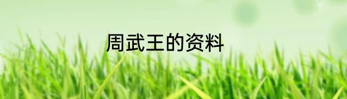 周武王的资料