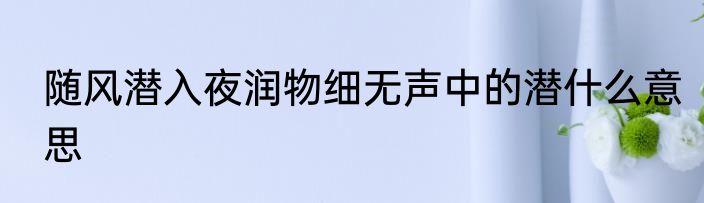 随风潜入夜润物细无声中的潜什么意思