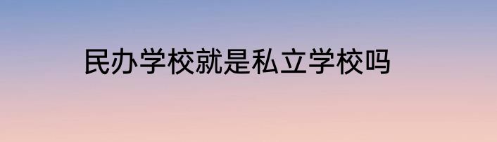 民办学校就是私立学校吗