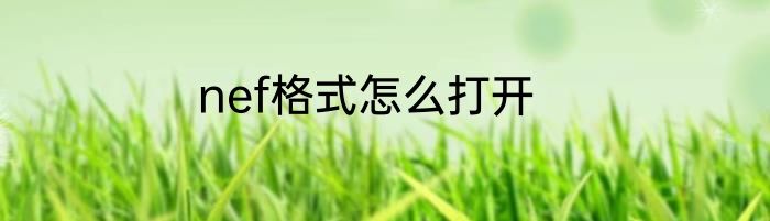 nef格式怎么打开