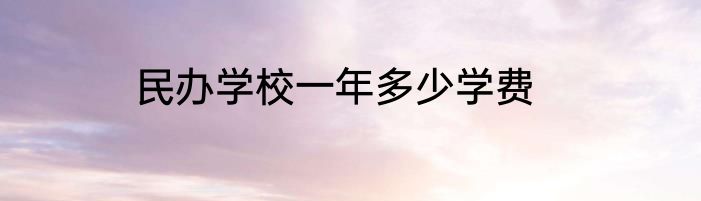 民办学校一年多少学费
