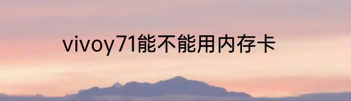 vivoy71能不能用内存卡