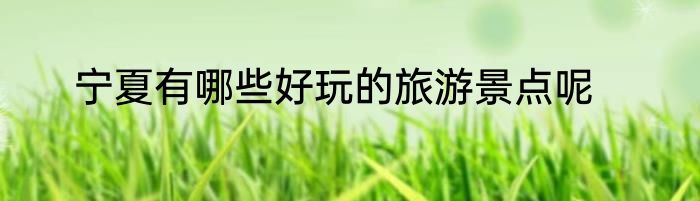 宁夏有哪些好玩的旅游景点呢