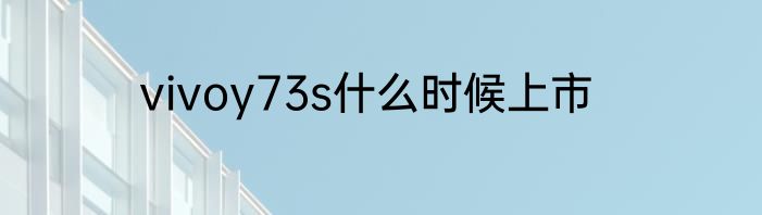 vivoy73s什么时候上市