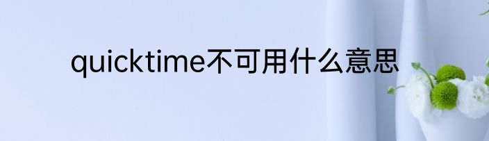 quicktime不可用什么意思
