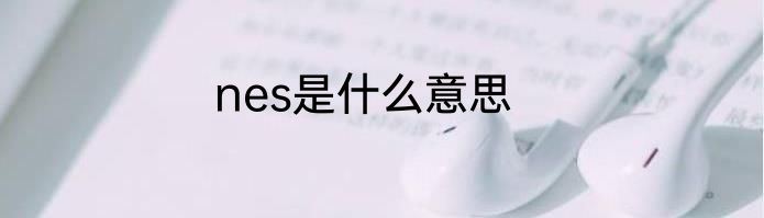 nes是什么意思