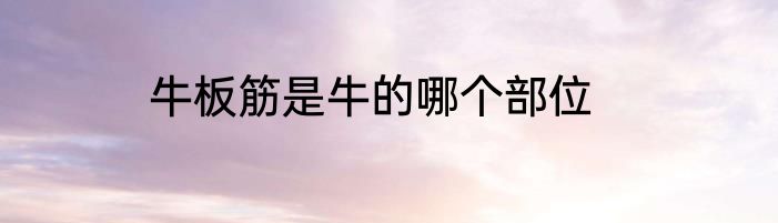牛板筋是牛的哪个部位