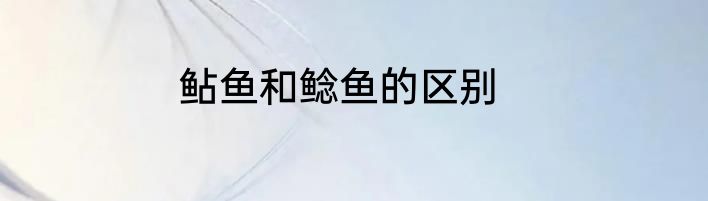 鲇鱼和鲶鱼的区别