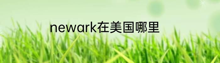 newark在美国哪里