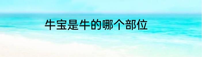 牛宝是牛的哪个部位