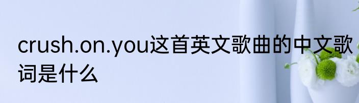crush.on.you这首英文歌曲的中文歌词是什么