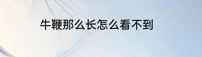 牛鞭那么长怎么看不到