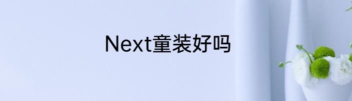 Next童装好吗