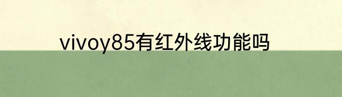 vivoy85有红外线功能吗