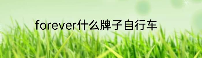 forever什么牌子自行车