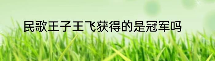 民歌王子王飞获得的是冠军吗