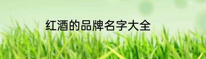 红酒的品牌名字大全