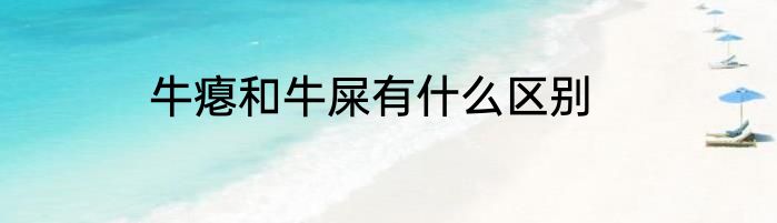 牛瘪和牛屎有什么区别