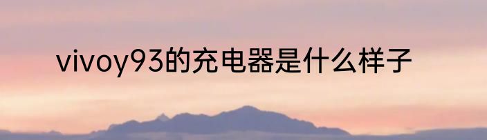 vivoy93的充电器是什么样子