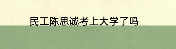 民工陈思诚考上大学了吗